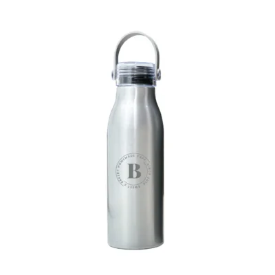 750ml Aluminum Bottle Silver